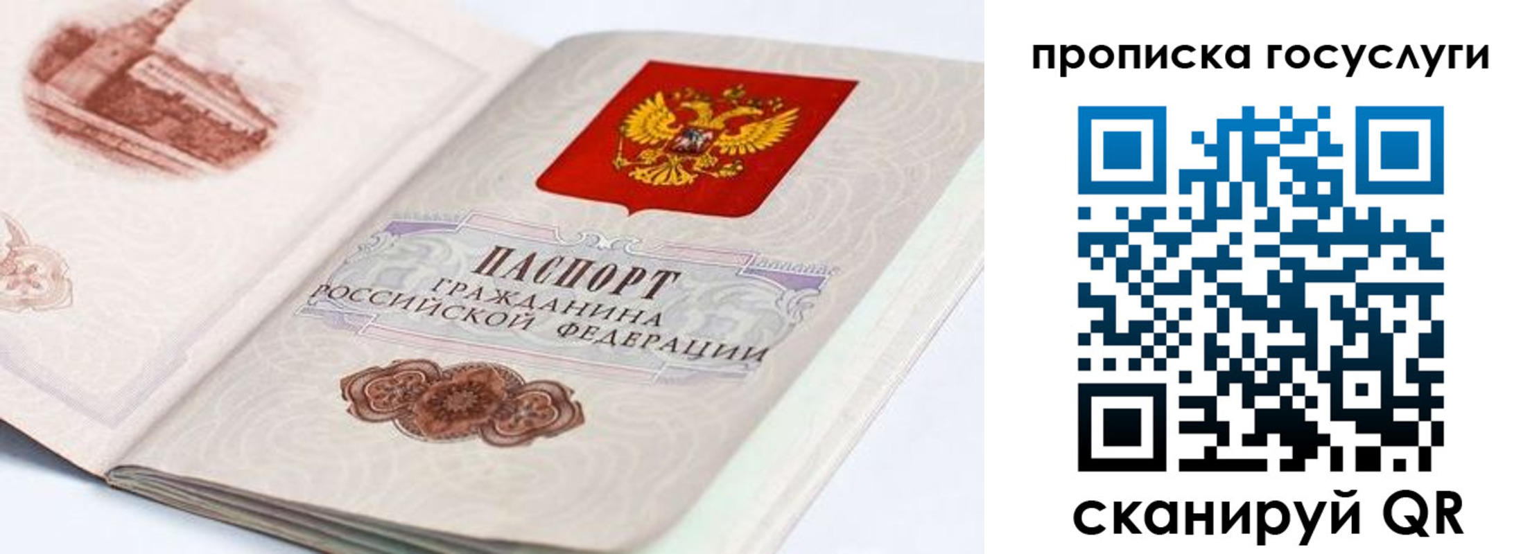 прописка гарантия в Жердевке